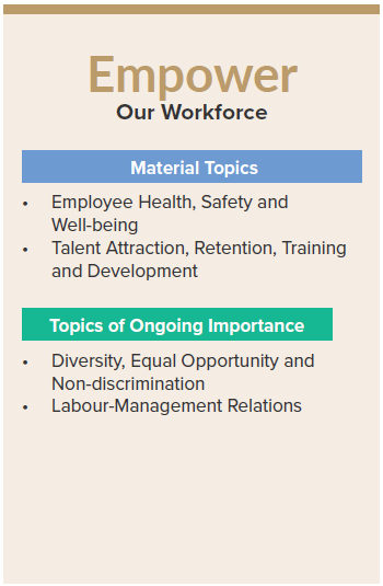 Material topics and topics of ongoing importance Pillar 2