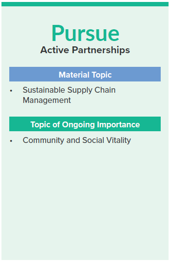 Material topics and topics of ongoing importance Pillar 4